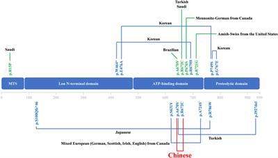 The first case report of CODAS syndrome in Chinese population caused by two LONP1 pathogenic mutations